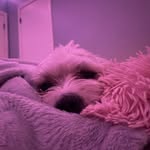helen - @helenserranooo - Instagram