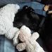 Helen Settle - Facebook