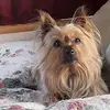 Helen Shepherd - @helenonwheels - TikTok