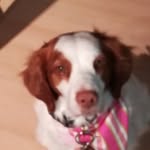 Helen Shoemaker - @waiting4wow - Instagram