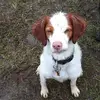 helenshoemaker1 - @wait4wow - TikTok