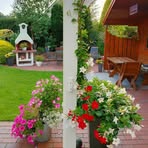 Helene Siebert - Facebook