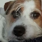 Hannah - @helensills_3 - Instagram