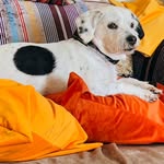 Helen Sinclair - @helenthepiemaster - Instagram