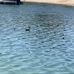Silver Lakes-Helendale Community - Facebook