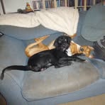 Helen Small - Facebook