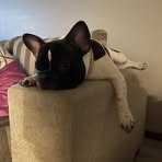 Helen Small - Facebook