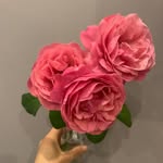 Helen Smiley - @helen.smiley.1000 - Instagram
