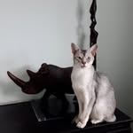 Helen Spinner - @helen.spinner.5 - Instagram