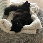Helen Spring - @helen.spring.9277 - Instagram