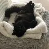 Helen Spring - @helen.spring04 - TikTok