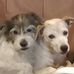 Helen Stauffer - Facebook