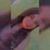 Helena Steck - Facebook