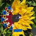 Helen Steinfeld - Facebook