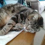 Helen Stratton - @h.stratton105 - Instagram