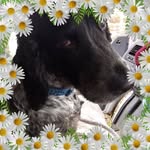 Helen Stratton - @helen.stratton.9 - Instagram