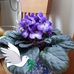 Helen Stratton - Facebook