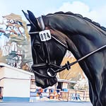Helen Stratton Ensor - @rein_it_in_a_bit - Instagram