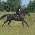Helen Stratton Ensor - @helen.ensor - Instagram