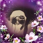 Helen Stringfellow - Facebook