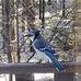 Helen Strom - Facebook