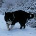 Helen Struthers - Facebook