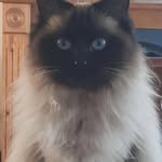 Helen Sutter - @sutter7007 - Instagram