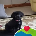 Mary Helen Sutter - @maryhelensutter - Instagram