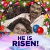 Helen Thames - Facebook