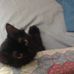 Helen Totten - Facebook