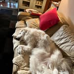 Helen Mary Travers - @travers.helen - Instagram