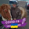 Helen Travers425 - @helentravers - TikTok
