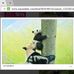Helen Tso - Facebook