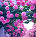 Helen Vale - Facebook