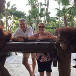 Helen Voss - @hvoss1960 - Instagram