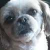 Helen Voss - @helenvoss948 - TikTok
