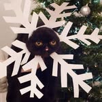 Helen Wainwright - @helenwainwright903 - Instagram