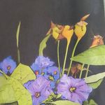 Helen Wakefield - @wakefieldprints - Instagram