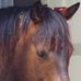 Helen Weightman - Facebook