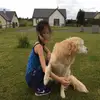 Amanda - @helenwen - TikTok