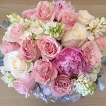 Elena Wetherbee - @wetherbee.elena - Instagram
