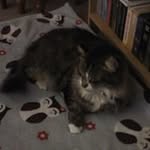 Helen Wheatley - @wheatley.helen - Instagram