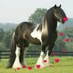 Helen Wheatley - @helen.wheatley.104 - Instagram