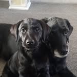 Helen Wheatley - @helen.wheatley.7771 - Instagram