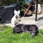Helen M Wheaton - @helenmwheaton - Instagram