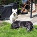 Helen M Wheaton - Facebook