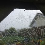 Helen Wheeldon - Facebook