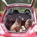 Helen Louise - Facebook