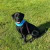 Helen wither - @helen.wither - TikTok