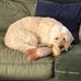 Helen Whitlock - Facebook